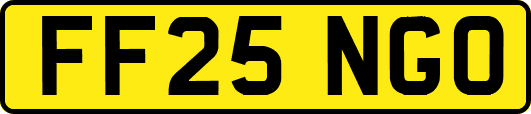 FF25NGO