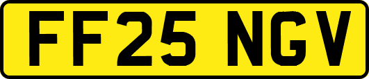 FF25NGV
