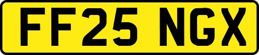FF25NGX