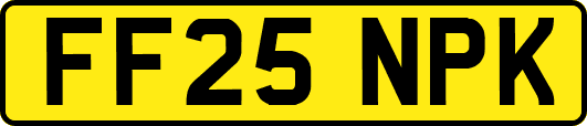 FF25NPK