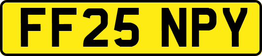 FF25NPY