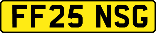 FF25NSG