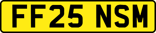 FF25NSM