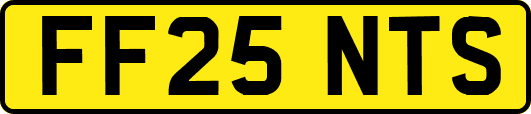 FF25NTS
