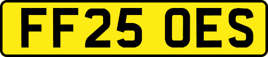 FF25OES