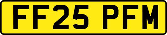 FF25PFM