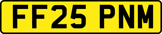 FF25PNM