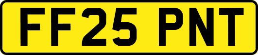 FF25PNT