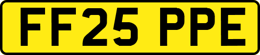 FF25PPE