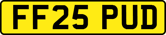 FF25PUD