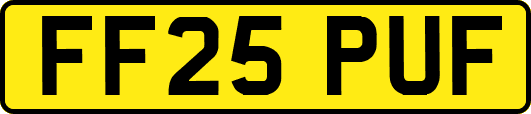 FF25PUF