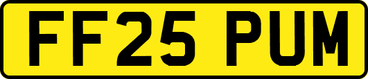 FF25PUM