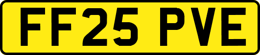 FF25PVE