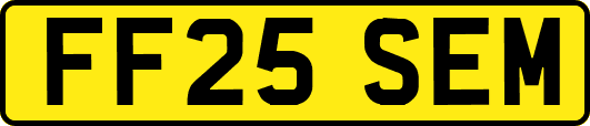FF25SEM