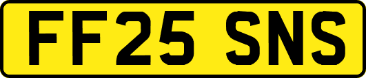 FF25SNS