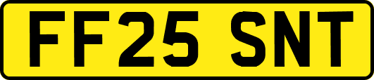 FF25SNT