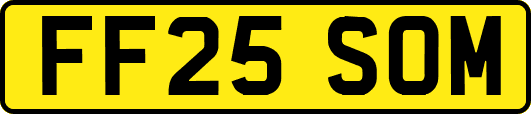 FF25SOM