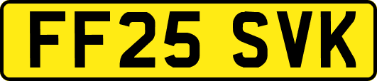FF25SVK