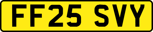 FF25SVY
