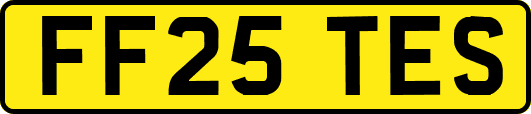 FF25TES