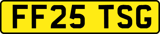 FF25TSG