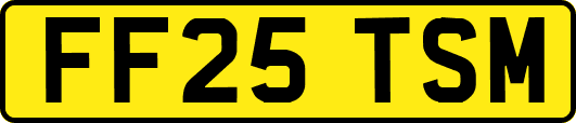 FF25TSM
