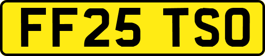FF25TSO