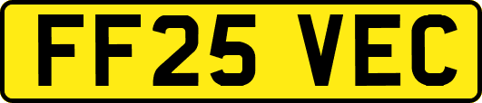 FF25VEC