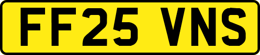FF25VNS