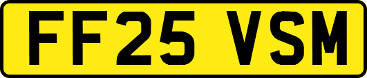 FF25VSM