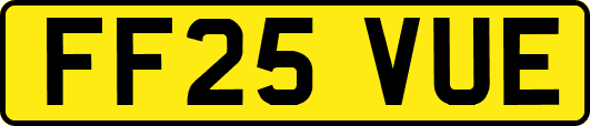FF25VUE