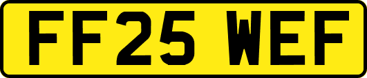 FF25WEF