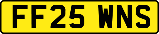 FF25WNS