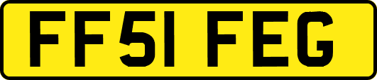 FF51FEG