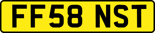 FF58NST