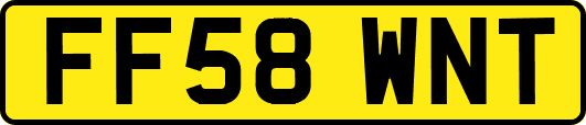FF58WNT