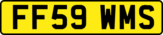 FF59WMS