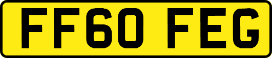 FF60FEG