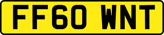 FF60WNT