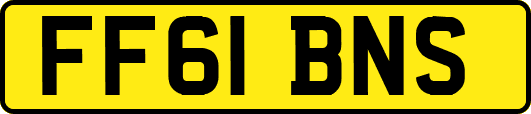 FF61BNS
