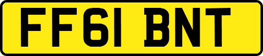 FF61BNT