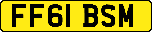 FF61BSM