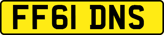 FF61DNS