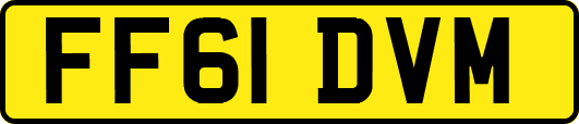 FF61DVM