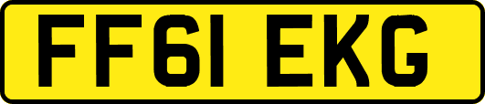 FF61EKG