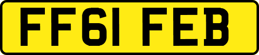 FF61FEB