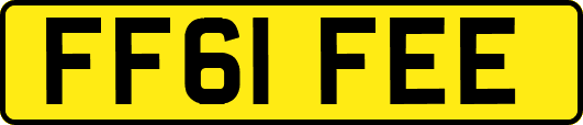 FF61FEE
