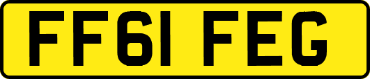 FF61FEG