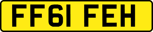 FF61FEH