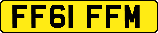 FF61FFM